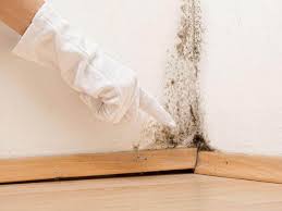 Why You Should Choose Our Mold Remediation Services in Joshua, TX